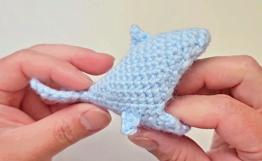 Crochet tutorial step