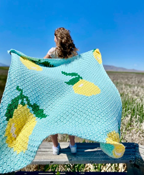 Crochet tutorial step